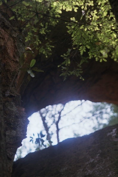 Gladie Creek &amp; Red River